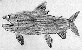 Scott Matthew Gillespie's rendering of A Lake Trout