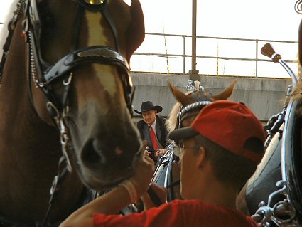  Lyle and Janet Hansbarger after winnng the Governor's Cup at the Ohio State Fair, August 11, 2005