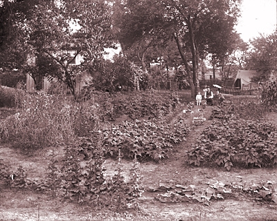 George Elmer Fisher's garden in Freeport, Pennsylvania - ca. 1900