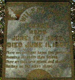 Tombstone of Wilson S. Fisher - Tunnel Hill Cemetery