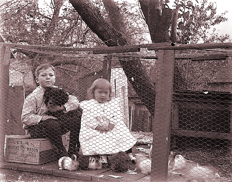 James Lee Fisher and his cousin Evelyn Zentmyer Goff, and a cage full of bunnies, Freeport, ca. 1904